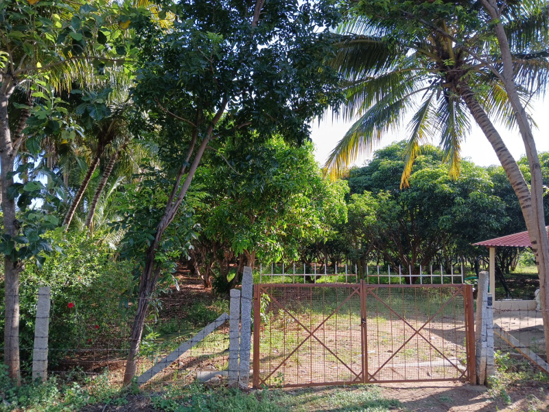  1 Acre Agricultural/Farm Land for Sale in Manavasi, Karur