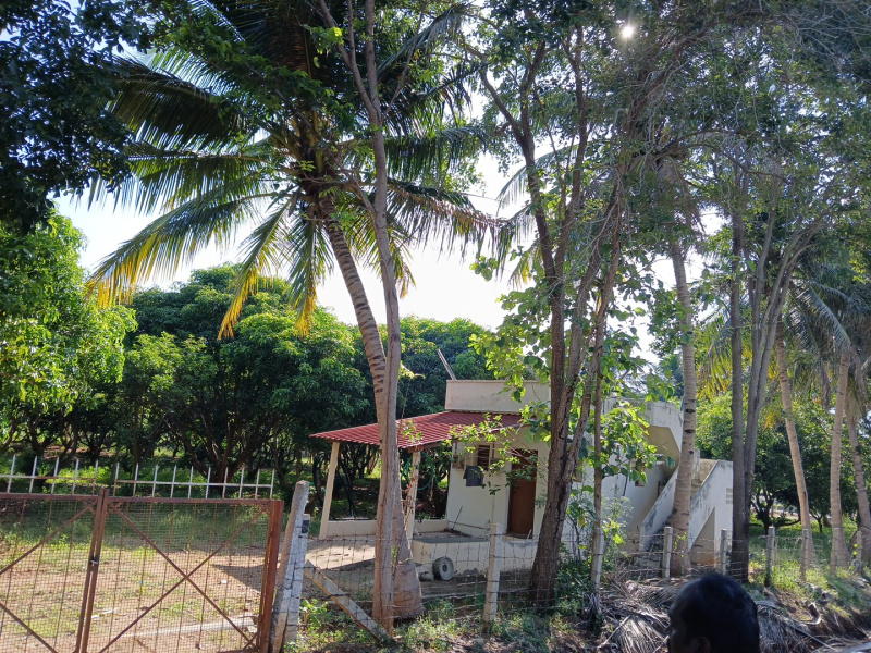  1 Acre Agricultural/Farm Land for Sale in Manavasi, Karur