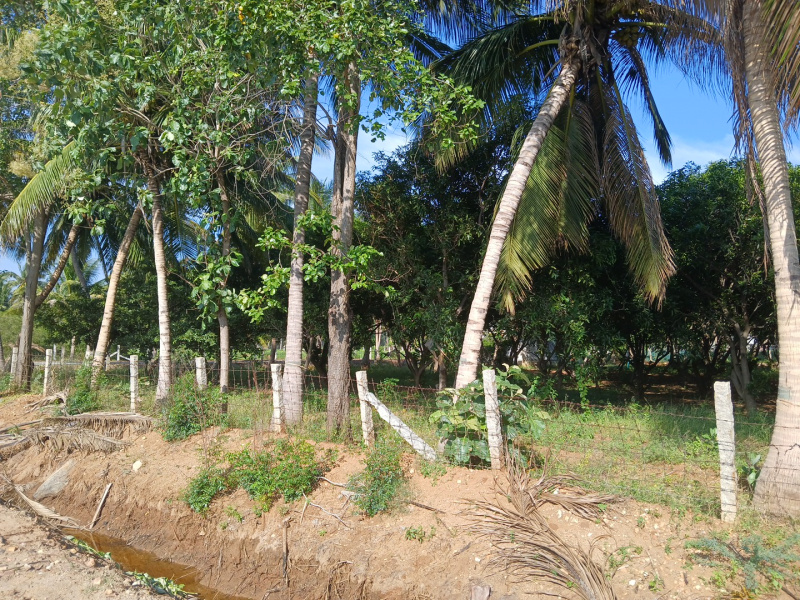  1 Acre Agricultural/Farm Land for Sale in Manavasi, Karur