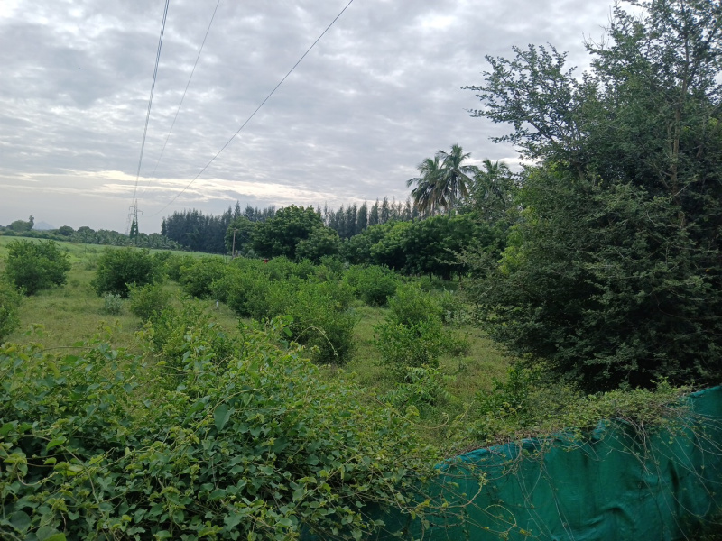  10 Acre Agricultural/Farm Land for Sale in Manavasi, Karur