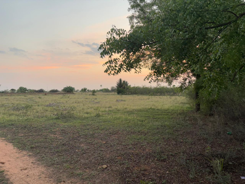  6 Acre Agricultural/Farm Land for Sale in Uppidamangalam, Karur
