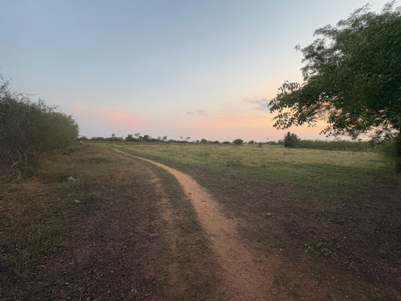  6 Acre Agricultural/Farm Land for Sale in Uppidamangalam, Karur