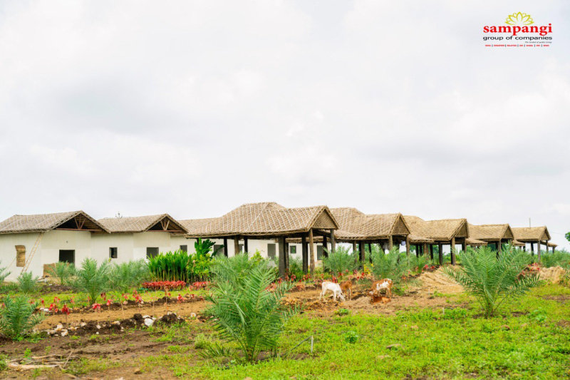  605 Sq. Yards Agricultural/Farm Land for Sale in Sadasivpet, Sangareddy