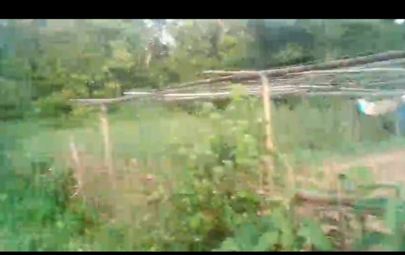  4320 Sq.ft. Residential Plot for Sale in Durgabari, Tinsukia