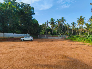  Residential Plot for Sale in Ollur, Thrissur