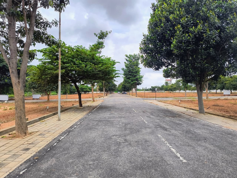  1500 Sq.ft. Residential Plot for Sale in Chokkahalli, Hoskote, Bangalore
