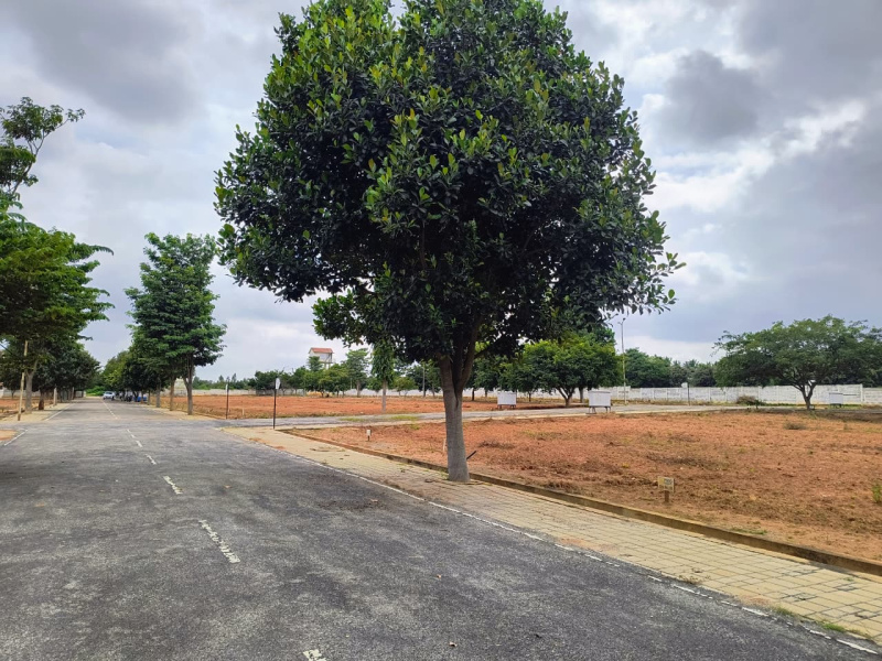  1500 Sq.ft. Residential Plot for Sale in Chokkahalli, Hoskote, Bangalore