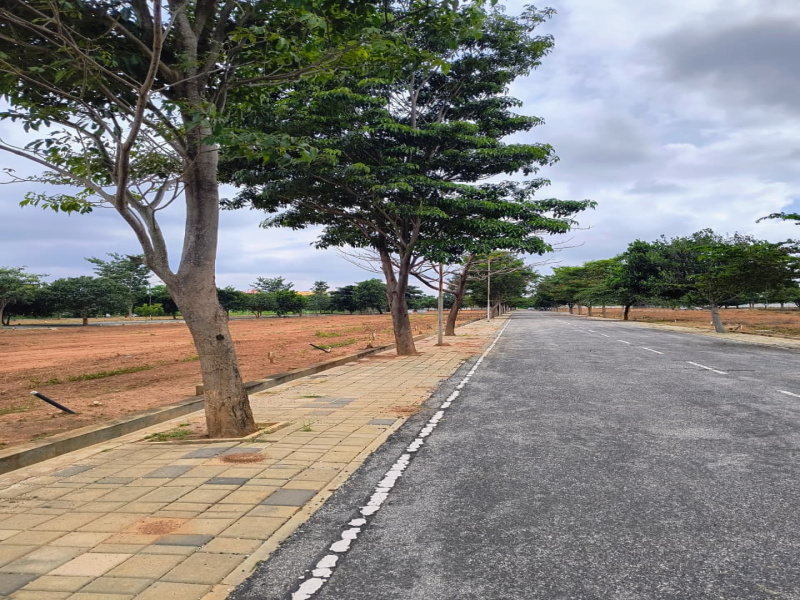  1500 Sq.ft. Residential Plot for Sale in Chokkahalli, Hoskote, Bangalore