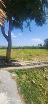  Residential Plot for Sale in Sherpur, Dehradun