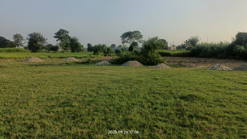  133 Sq. Yards Residential Plot for Sale in Sherpur, Dehradun