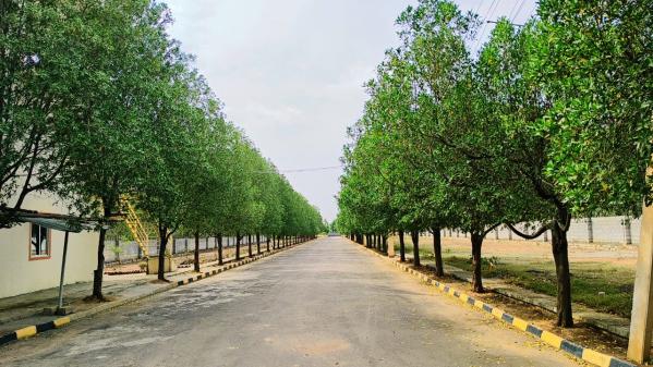  2600 Sq.ft. Residential Plot for Sale in Soukya Road, Bangalore