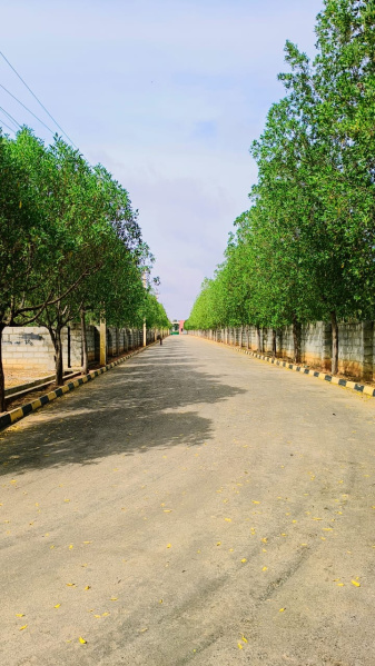  2600 Sq.ft. Residential Plot for Sale in Soukya Road, Bangalore