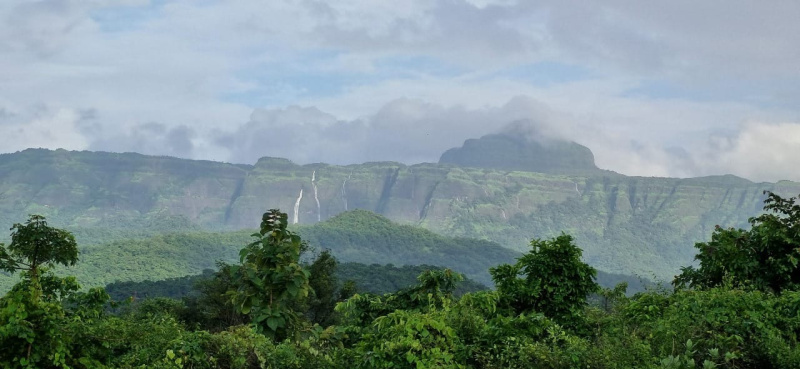  2 Acre Residential Plot for Sale in Pali, Raigad
