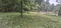  Residential Plot for Sale in Mainaguri, Jalpaiguri