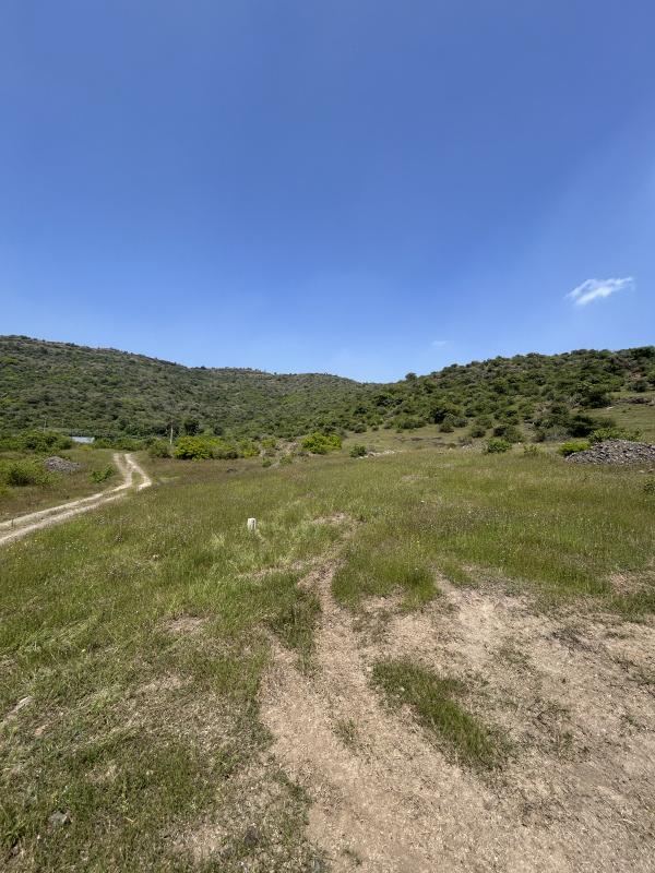  90 Guntha Residential Plot for Sale in Saswad, Pune
