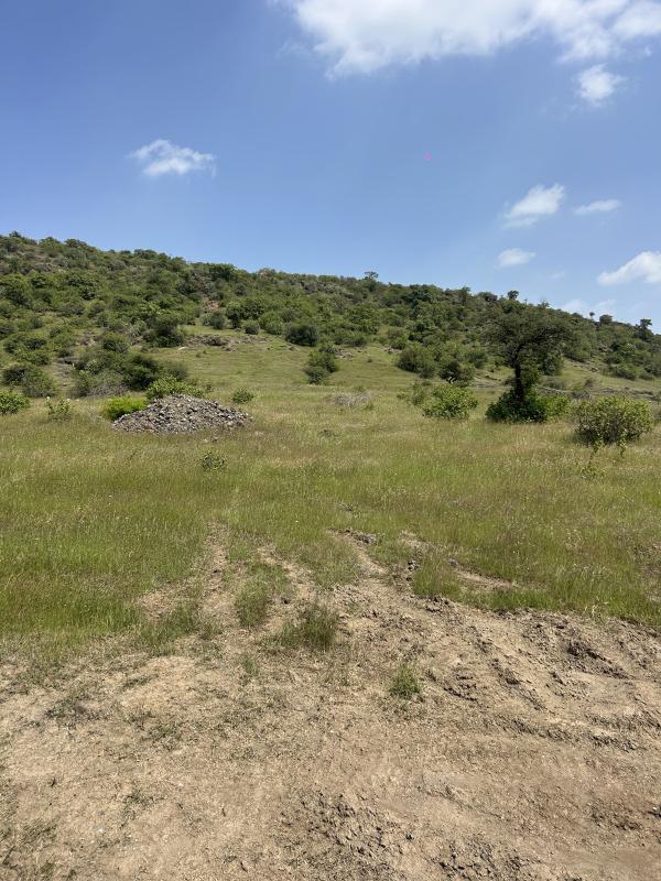  90 Guntha Residential Plot for Sale in Saswad, Pune