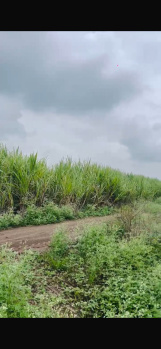  Residential Plot for Sale in Saswad, Pune