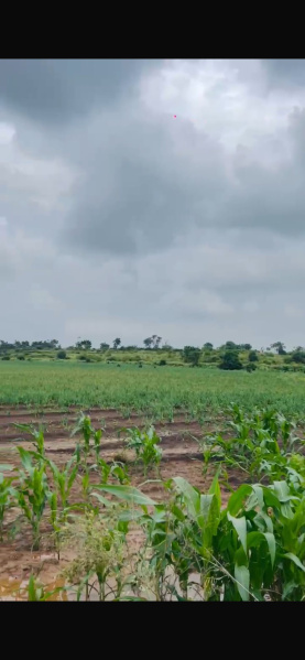  17 Ares Residential Plot for Sale in Saswad, Pune