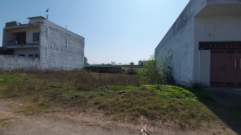  625 Sq. Meter Residential Plot for Sale in Kartarpur, Jalandhar