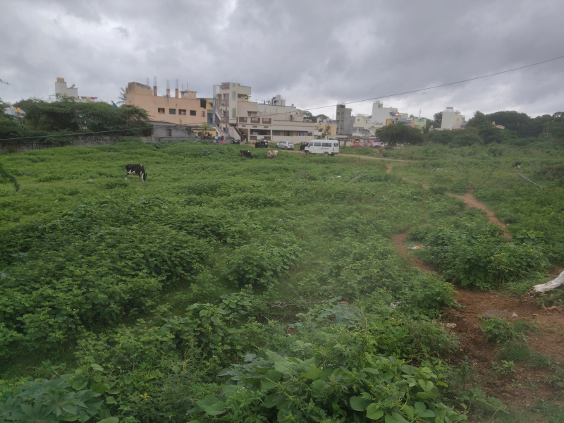  49 Guntha Commercial Land for Sale in Ooty Road, Mysore