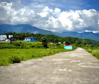  Residential Plot for Sale in Bhauwala, Dehradun