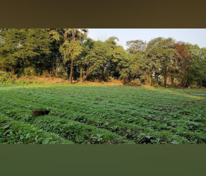  100 Acre Residential Plot for Sale in Panvel, Navi Mumbai