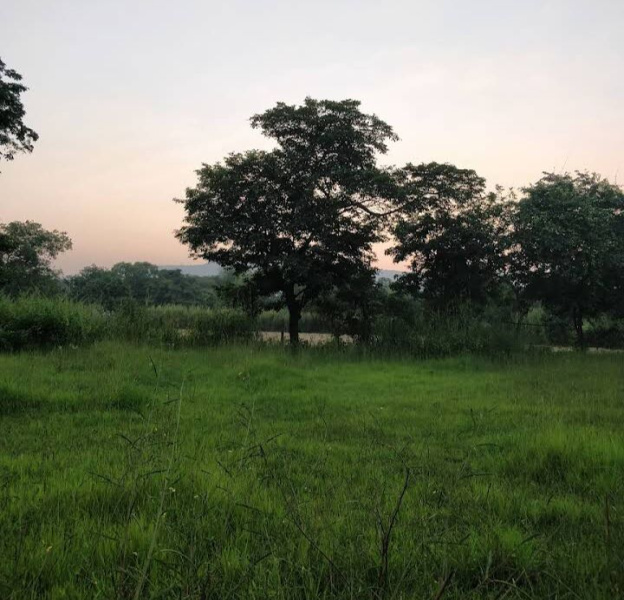  100 Acre Residential Plot for Sale in Panvel, Navi Mumbai