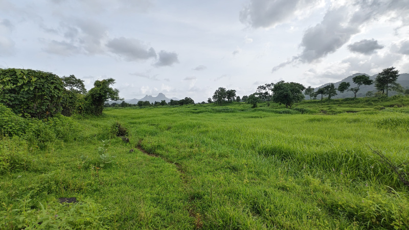  80000 Sq.ft. Residential Plot for Sale in Pali, Raigad
