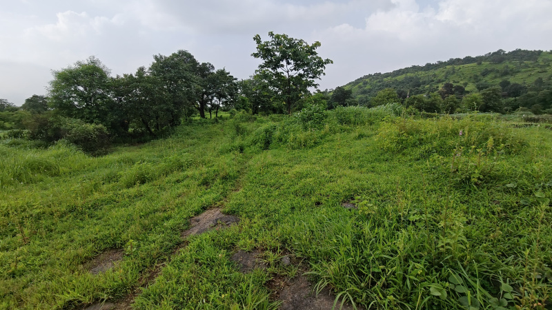  80000 Sq.ft. Residential Plot for Sale in Pali, Raigad