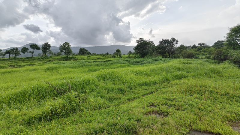  80000 Sq.ft. Residential Plot for Sale in Pali, Raigad