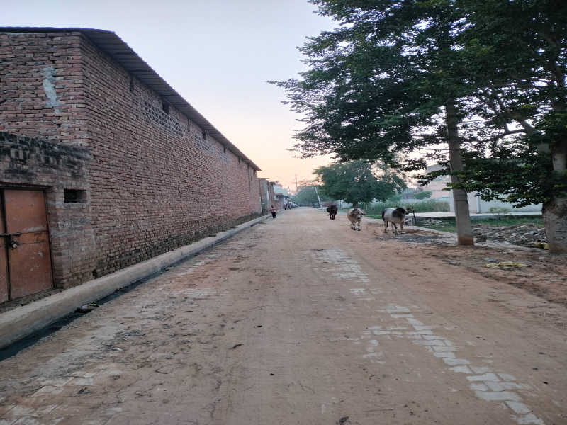  40000 Sq.ft. Warehouse for Rent in Palwal, Faridabad
