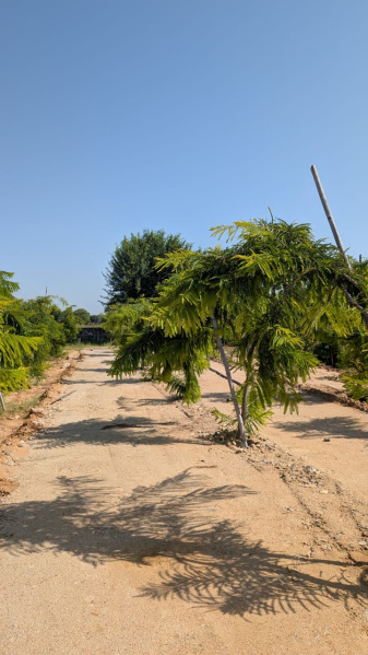  900 Sq. Yards Residential Plot for Sale in Kalwar Road, Jaipur