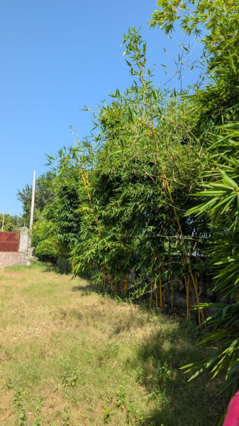  900 Sq. Yards Residential Plot for Sale in Kalwar Road, Jaipur