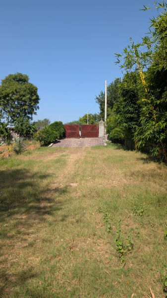  900 Sq. Yards Residential Plot for Sale in Kalwar Road, Jaipur