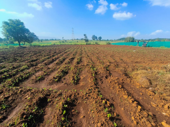  Residential Plot for Sale in Shahapur, Thane