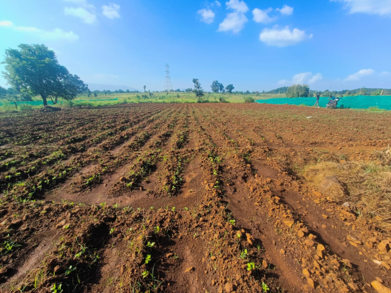  13 Ares Residential Plot for Sale in Shahapur, Thane