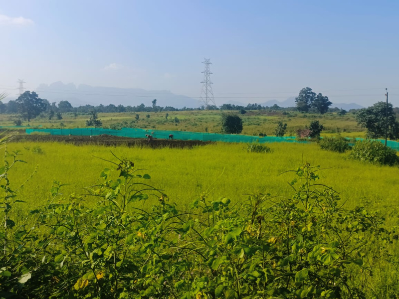  13 Ares Residential Plot for Sale in Shahapur, Thane