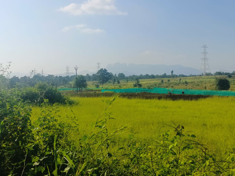  13 Ares Residential Plot for Sale in Shahapur, Thane