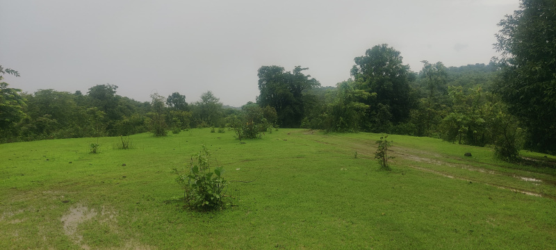 40000 Sq.ft. Residential Plot for Sale in Khopoli, Raigad