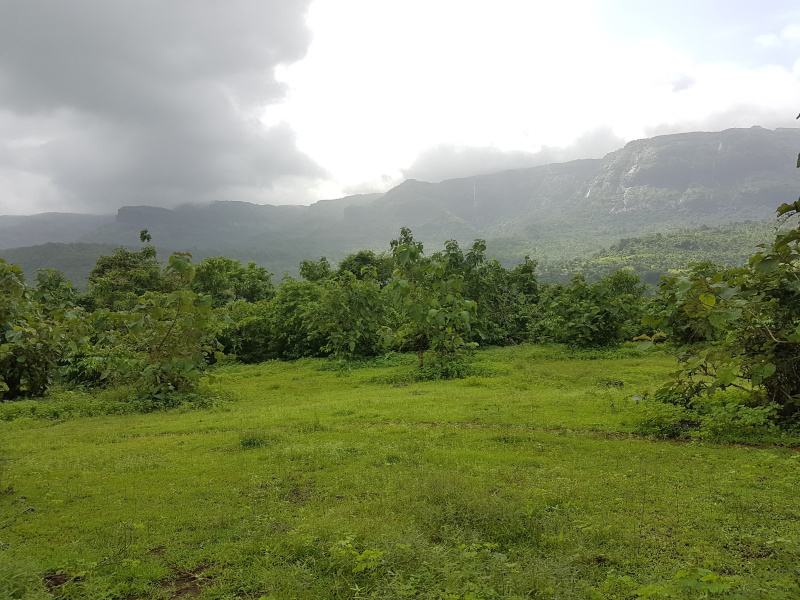 40000 Sq.ft. Residential Plot for Sale in Khopoli, Raigad