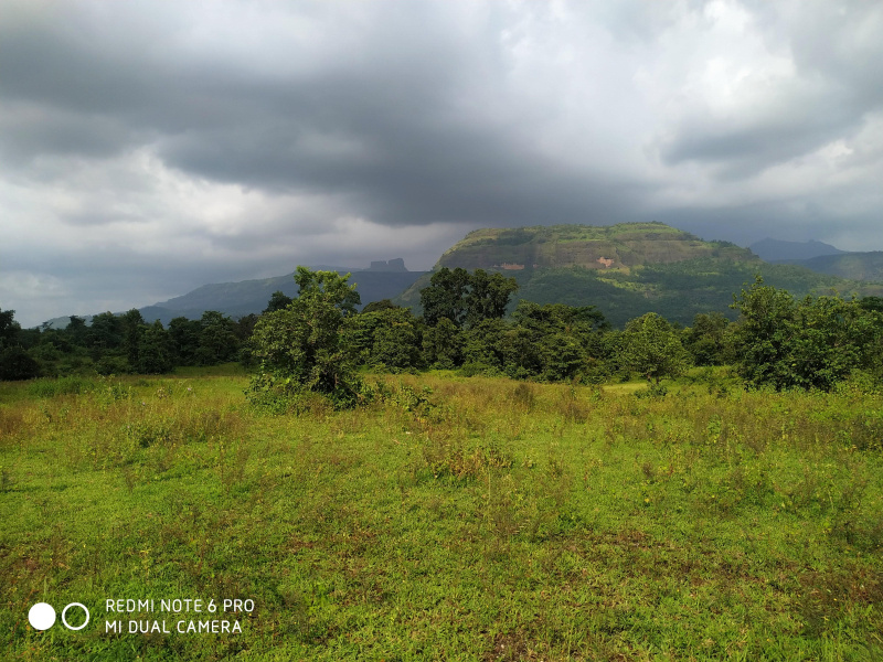 20000 Sq.ft. Residential Plot for Sale in Khopoli, Raigad