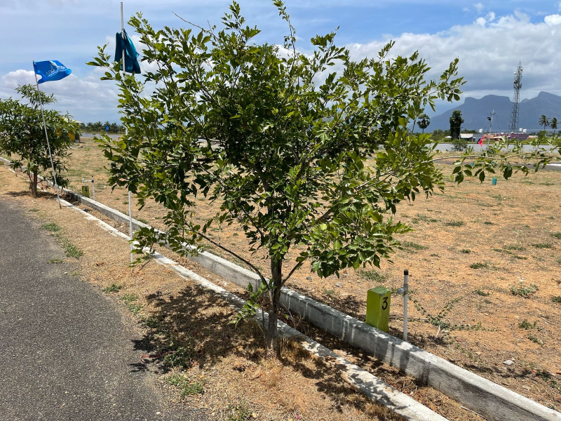  220000 Sq.ft. Residential Plot for Sale in Annur, Coimbatore