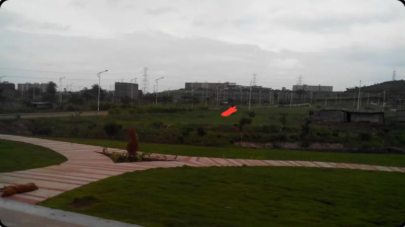 2178 Sq.ft. Residential Plot for Sale in Nihalpur Mundi, Indore