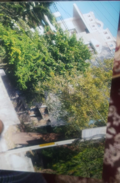 6 BHK 3000 Sq.ft. House for Sale in R N T Marg, Indore