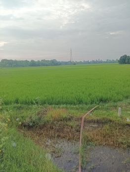 Residential Plot for Sale in Dumra, Sitamarhi
