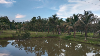  Residential Plot for Sale in Mekliganj, Cooch Behar