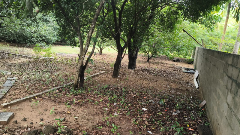 10950 Sq.ft. Residential Plot for Sale in East Coast Road, Chennai