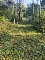  Residential Plot for Sale in Perumal Malai, Kodaikanal