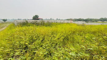 Residential Plot for Sale in Janaura Road, Faizabad