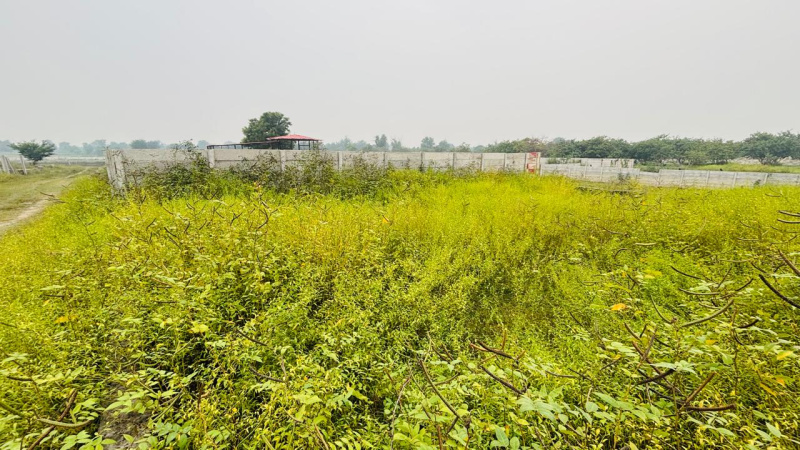  2100 Sq.ft. Residential Plot for Sale in Janaura Road, Faizabad